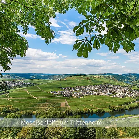 Bambuszimmer Mit Grossem Dachgarten Im Gaestehaus Graf-schmelzer Apartmán Trittenheim