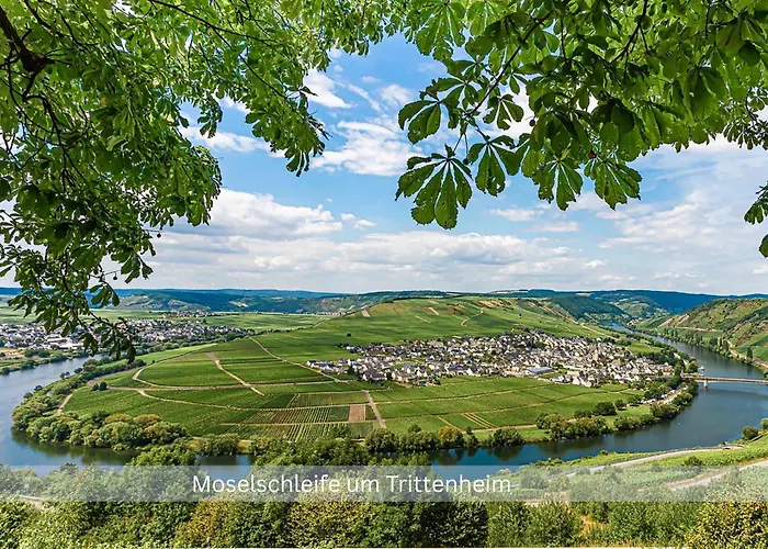 Bambuszimmer Mit Grossem Dachgarten Im Gaestehaus Graf-schmelzer Apartment Trittenheim